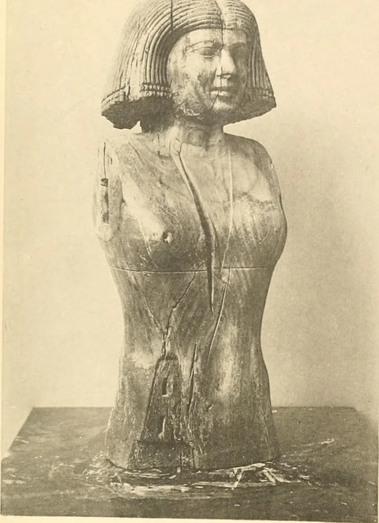 An illustration from Statuen und Statuetten von Königen und Privatleuten im Museum von Kairo, Nr. 1-1294, 1911, leaf 224