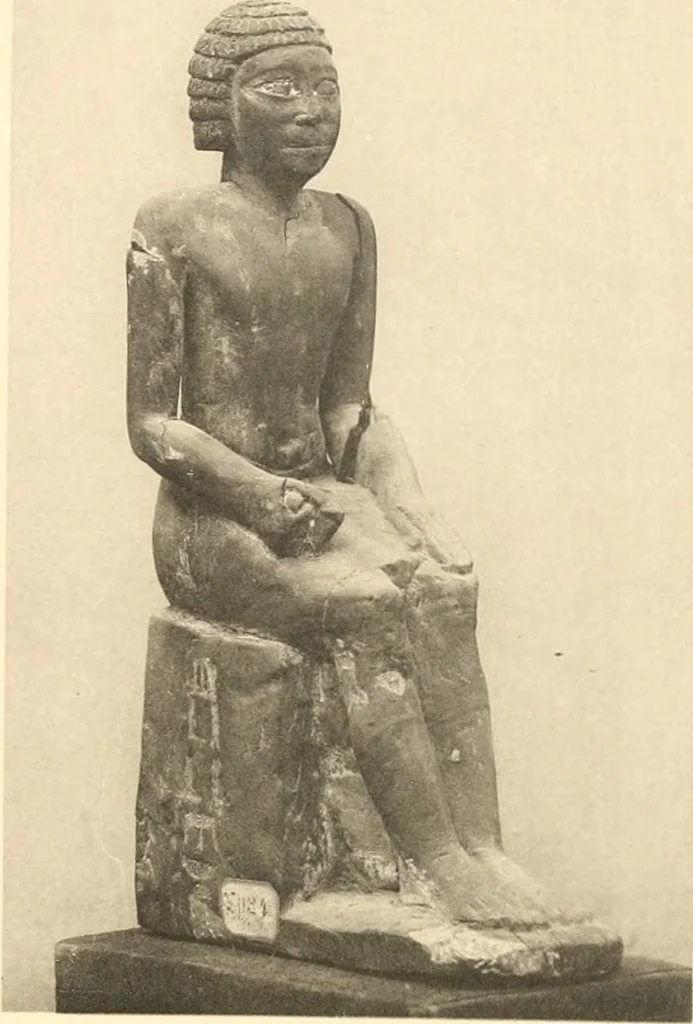 An illustration from Statuen und Statuetten von Königen und Privatleuten im Museum von Kairo, Nr. 1-1294, 1911, leaf 272