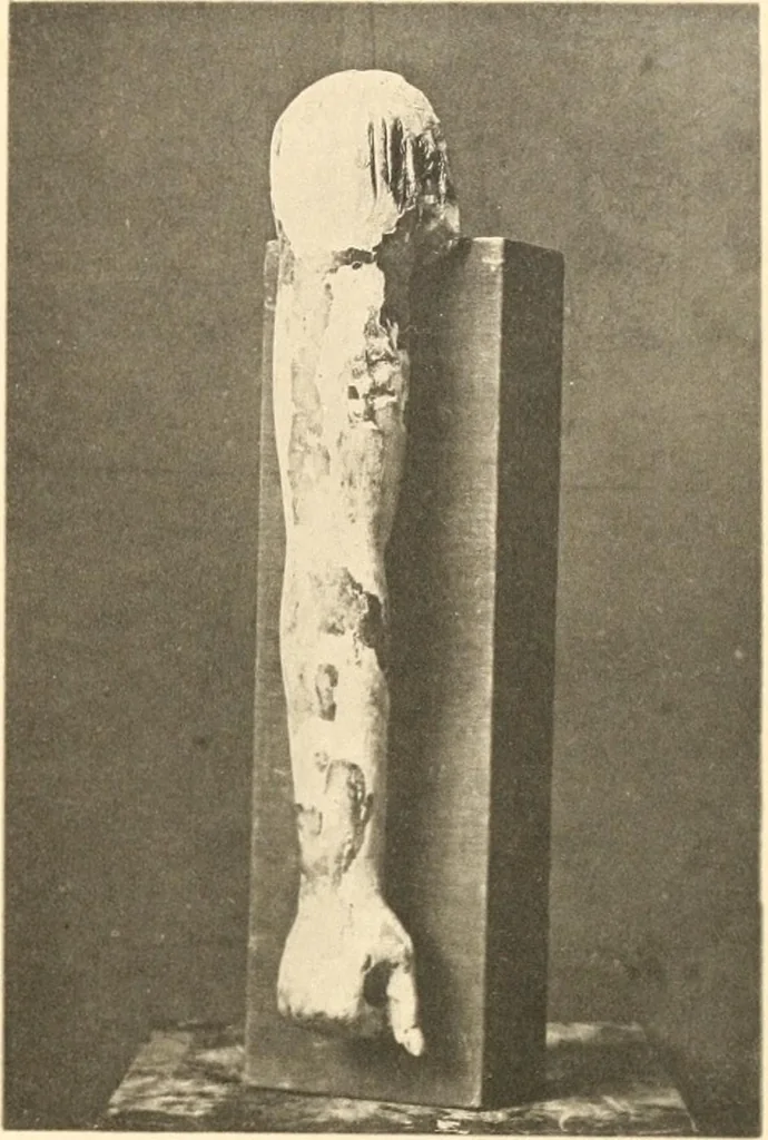 An illustration from Statuen und Statuetten von Königen und Privatleuten im Museum von Kairo, Nr. 1-1294, 1911, leaf 296