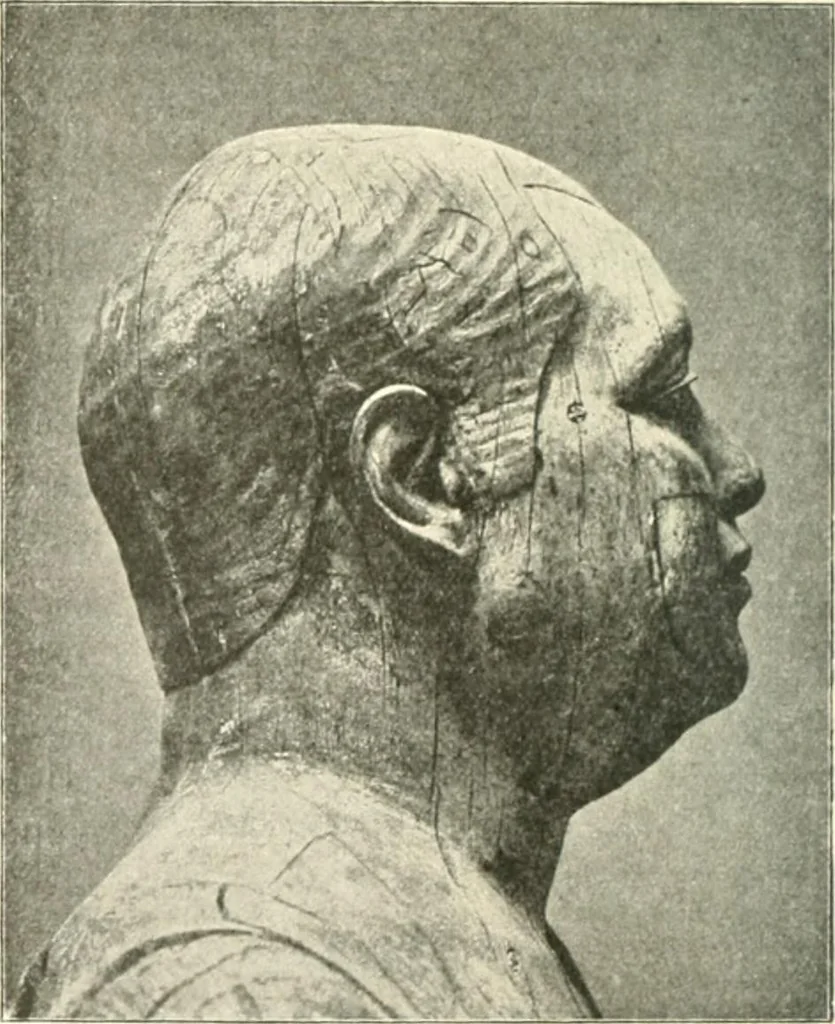An illustration from Statuen und Statuetten von Königen und Privatleuten im Museum von Kairo, Nr. 1-1294, 1911, leaf 39