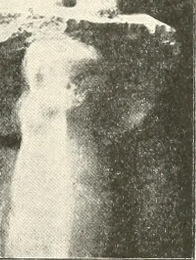An illustration from Statuen und Statuetten von Königen und Privatleuten im Museum von Kairo, Nr. 1-1294, 1911, leaf 80