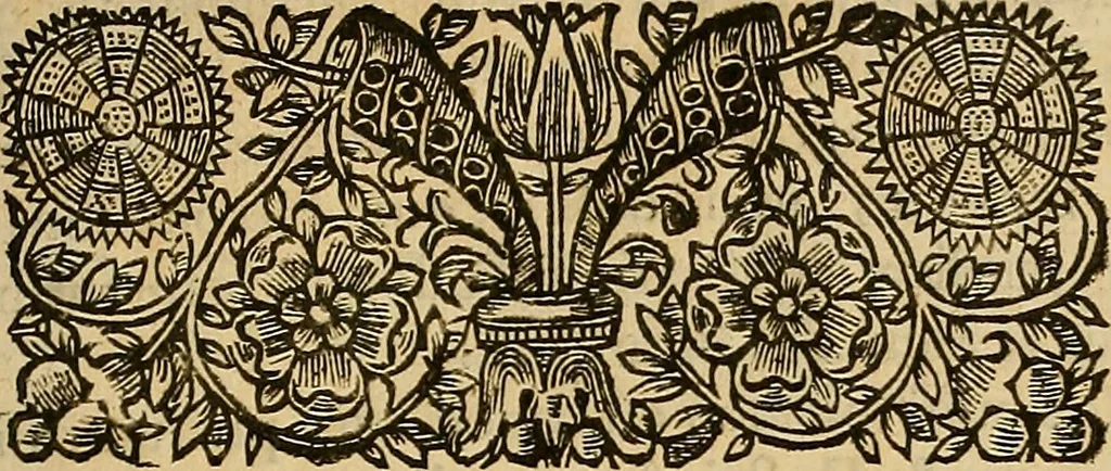 An illustration from Status ecclesiae gallicanae : or The ecclesiastical history of France, from the first plantation of Christianity there, unto this time .., 1676, leaf 10