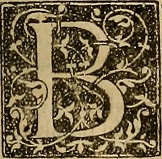 An illustration from Status ecclesiae gallicanae : or The ecclesiastical history of France, from the first plantation of Christianity there, unto this time .., 1676, leaf 20