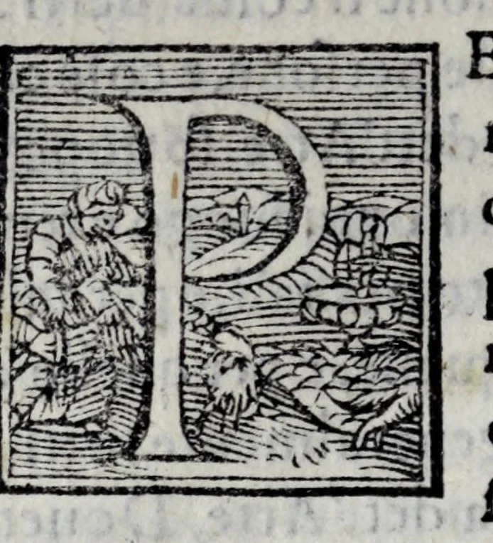 An illustration from Statuti dell'Arte di por Santa Maria, 1580, leaf 18