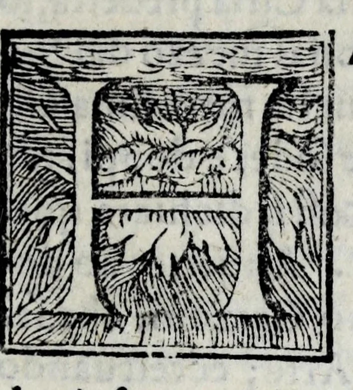 An illustration from Statuti dell'Arte di por Santa Maria, 1580, leaf 21