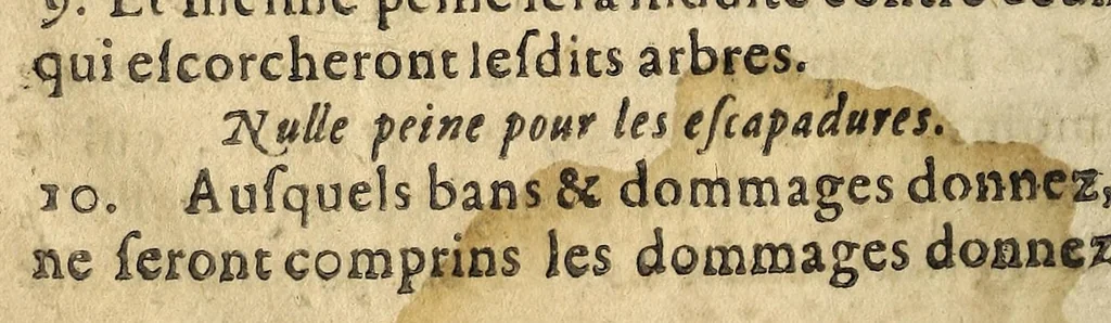 An illustration from Statuts, reglements, et police pour la garde du terroir de la cité d'Aix, & pays de Prouence, & augment des peines municipales., 1634, leaf 18