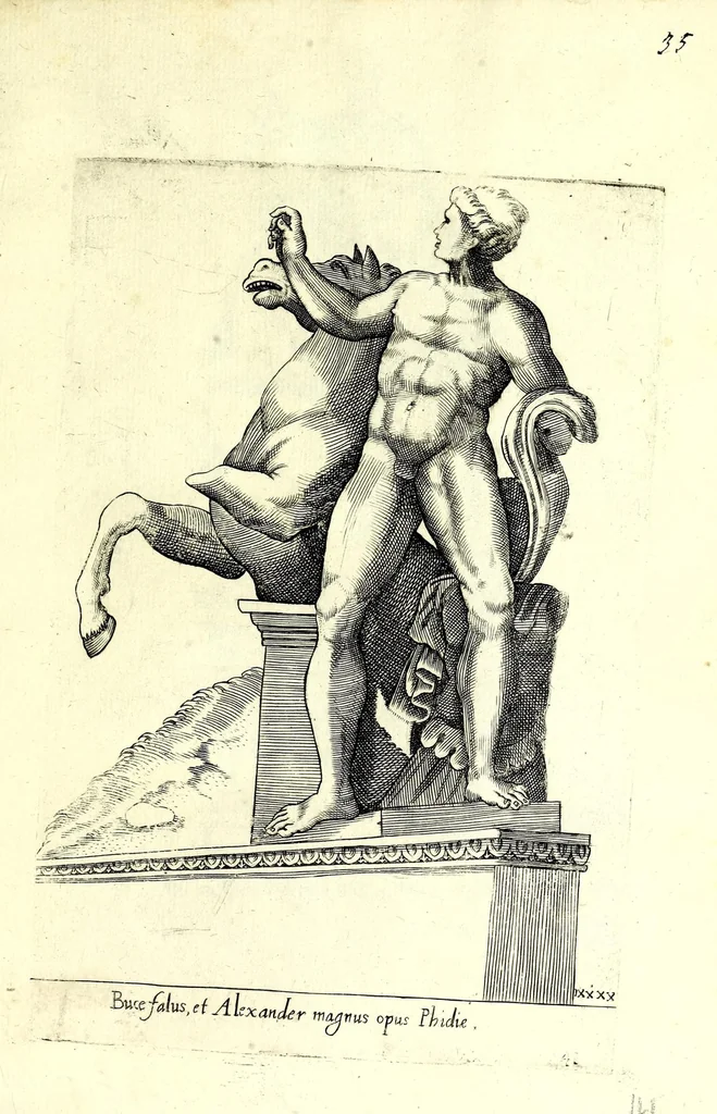 An illustration from Statve antiche che sono poste in diversi lvoghi nella città di Roma : nouamente stampate, 1576, leaf 91