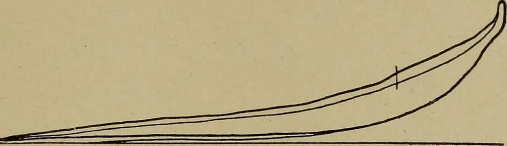 An illustration from Steam engine indicators and valve gears;, 1918, leaf 80