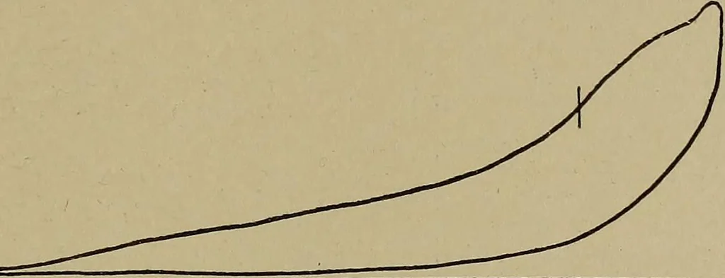 An illustration from Steam engine indicators and valve gears;, 1918, leaf 80