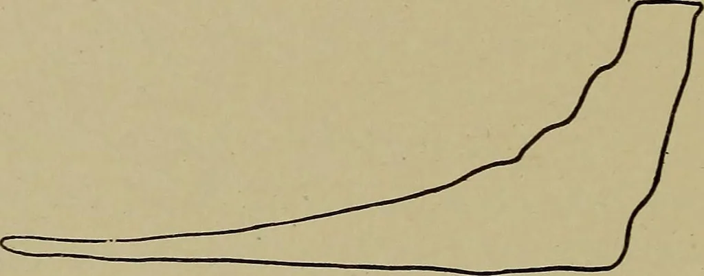 An illustration from Steam engine indicators and valve gears;, 1918, leaf 81