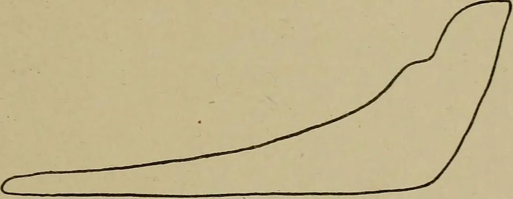 An illustration from Steam engine indicators and valve gears;, 1918, leaf 82