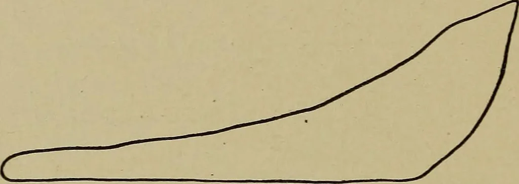 An illustration from Steam engine indicators and valve gears;, 1918, leaf 83