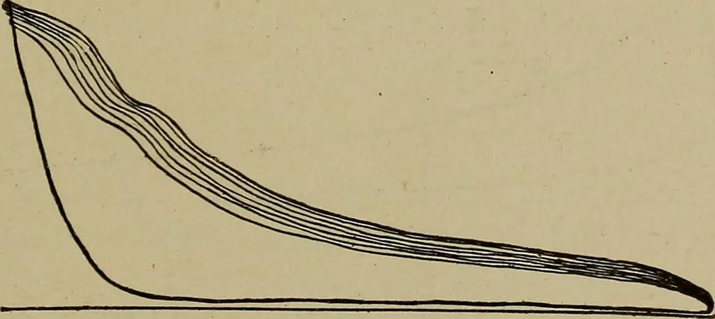An illustration from Steam engine indicators and valve gears;, 1918, leaf 84