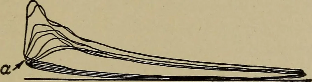 An illustration from Steam engine indicators and valve gears;, 1918, leaf 86