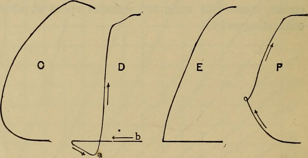 An illustration from The steam-engine and other heat-motors, 1909, leaf 143