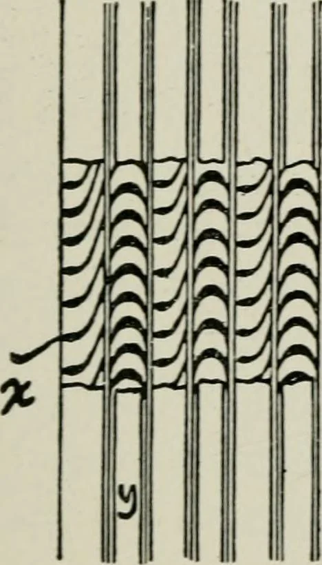 An illustration from Steam turbine engines : their construction, care and operation, 1910, leaf 104