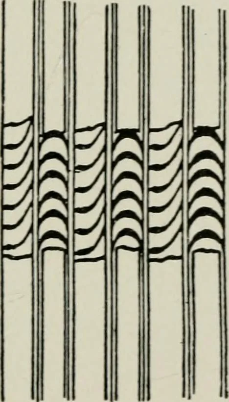 An illustration from Steam turbine engines : their construction, care and operation, 1910, leaf 104