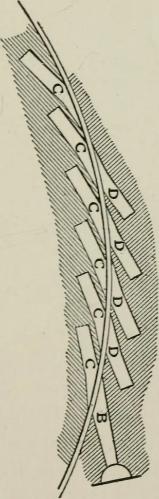 An illustration from Steam turbine engines : their construction, care and operation, 1910, leaf 126