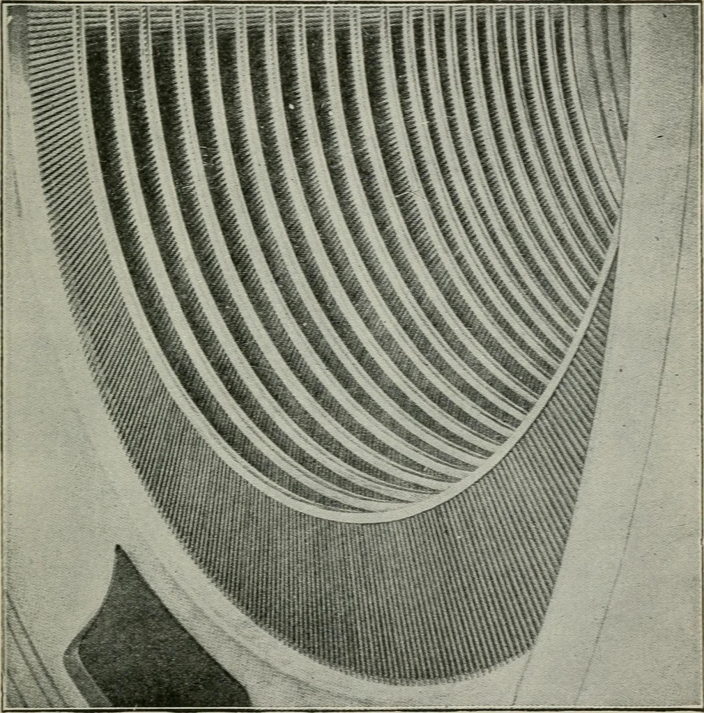 An illustration from Steam turbine engines : their construction, care and operation, 1910, leaf 92