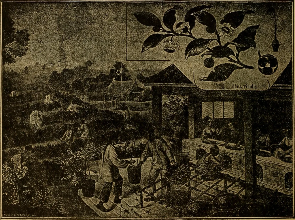 An illustration from Steiger's kindergarten catalogue, 1900, leaf 111