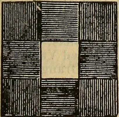 An illustration from Steiger's kindergarten catalogue, 1900, leaf 22