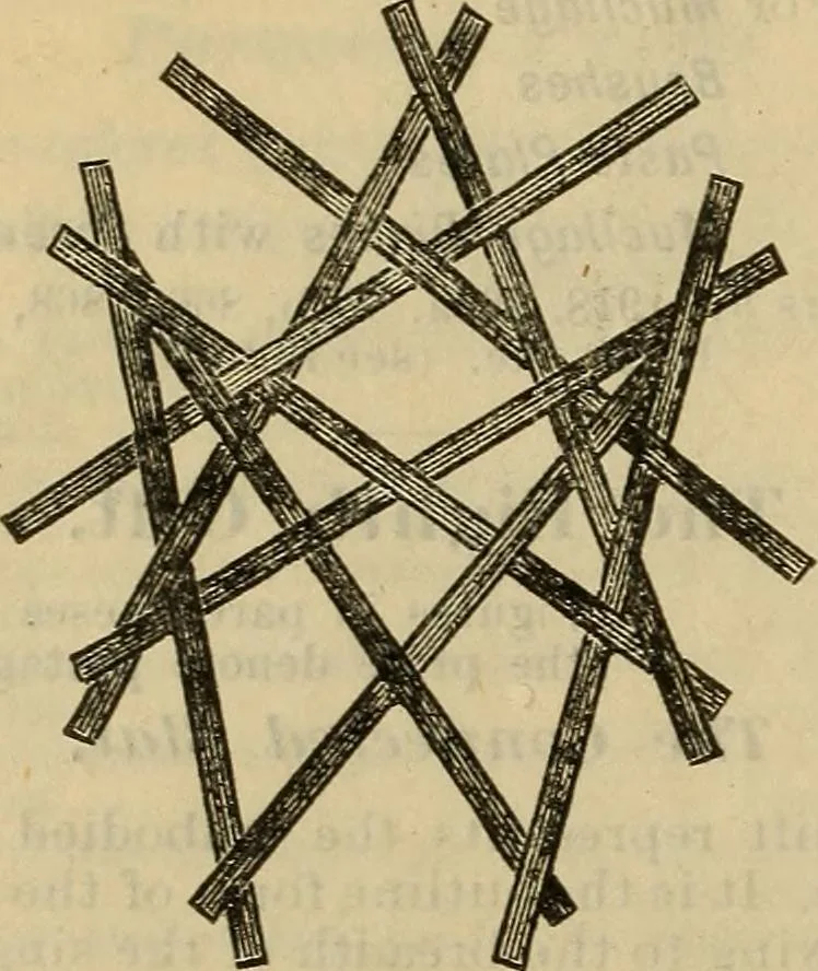 An illustration from Steiger's kindergarten catalogue, 1900, leaf 25
