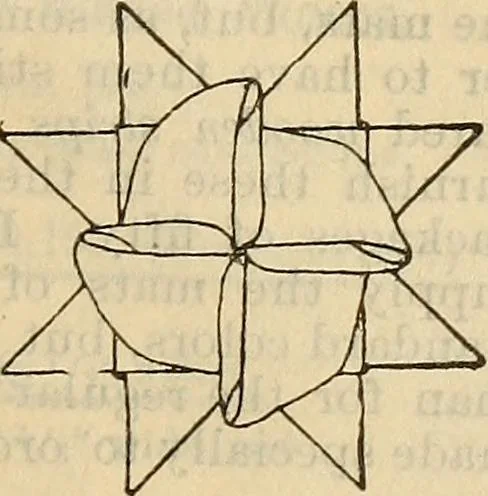 An illustration from Steiger's kindergarten catalogue, 1900, leaf 34