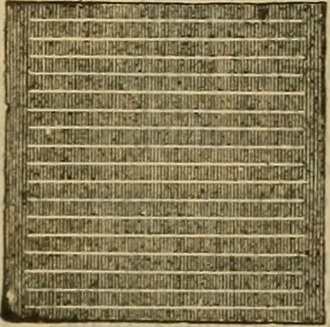 An illustration from Steiger's kindergarten catalogue, 1900, leaf 35