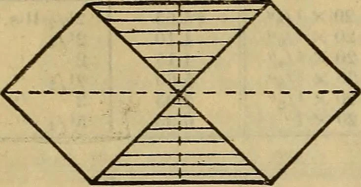 An illustration from Steiger's kindergarten catalogue, 1900, leaf 49