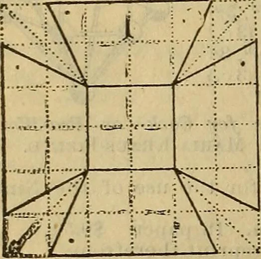 An illustration from Steiger's kindergarten catalogue, 1900, leaf 55