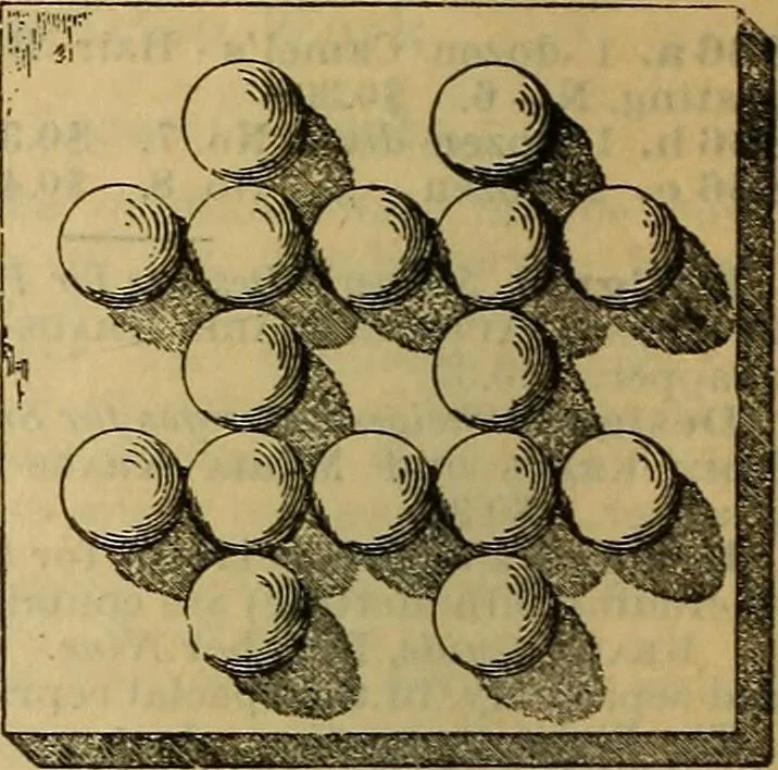 An illustration from Steiger's kindergarten catalogue, 1900, leaf 55