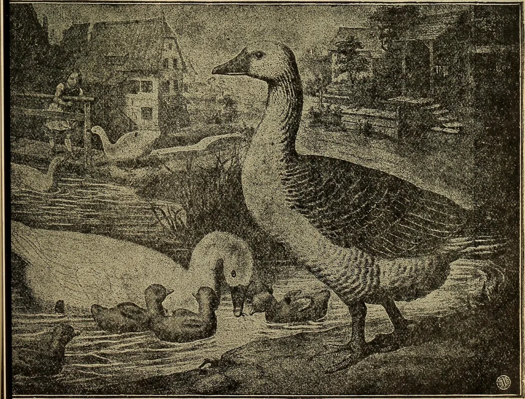 An illustration from Steiger's kindergarten catalogue, 1900, leaf 92