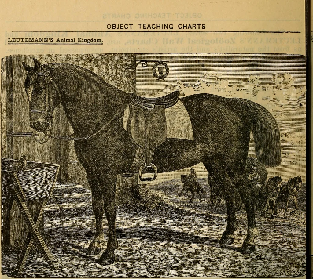 An illustration from Steiger's kindergarten catalogue, 1900, leaf 93