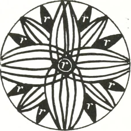 An illustration from Steingefässe, 1904, leaf 134