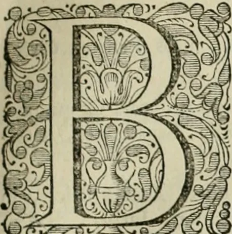 An illustration from Stephanos Peri poleon = Stephanus De urbibus, 1678, leaf 174
