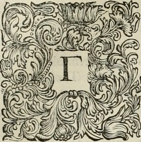 An illustration from Stephanos Peri poleon = Stephanus De urbibus, 1678, leaf 215