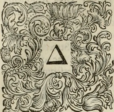 An illustration from Stephanos Peri poleon = Stephanus De urbibus, 1678, leaf 243