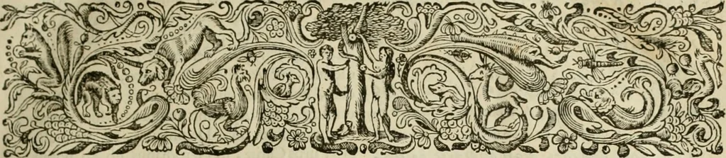 An illustration from Stephanos Peri poleon = Stephanus De urbibus, 1678, leaf 26