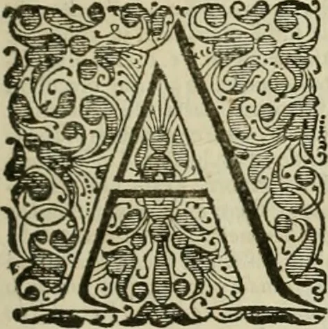 An illustration from Stephanos Peri poleon = Stephanus De urbibus, 1678, leaf 26
