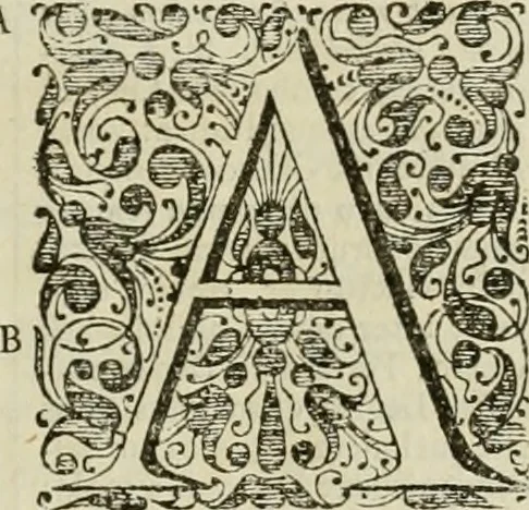 An illustration from Stephanos Peri poleon = Stephanus De urbibus, 1678, leaf 26