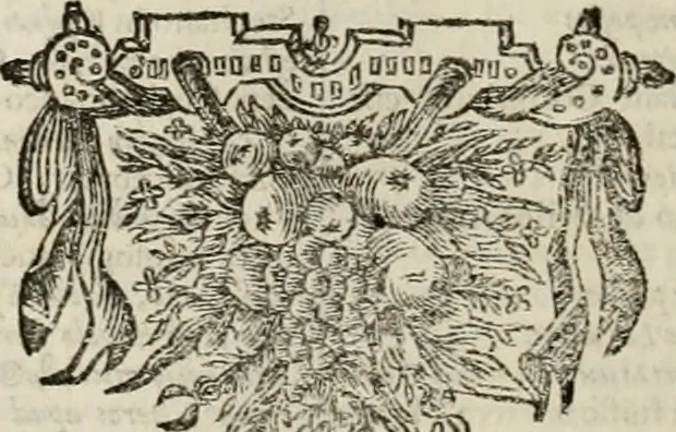 An illustration from Stephanos Peri poleon = Stephanus De urbibus, 1678, leaf 309