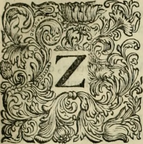 An illustration from Stephanos Peri poleon = Stephanus De urbibus, 1678, leaf 310