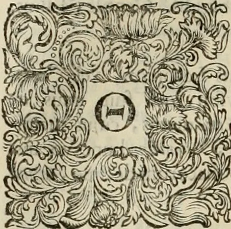 An illustration from Stephanos Peri poleon = Stephanus De urbibus, 1678, leaf 325