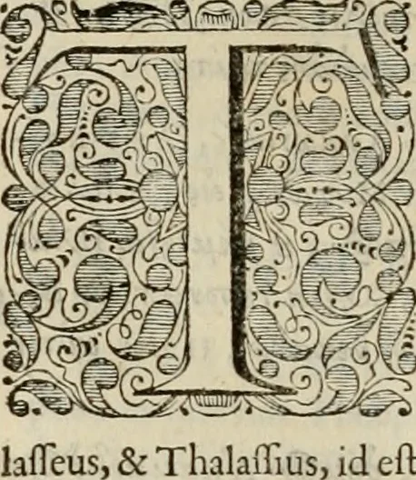 An illustration from Stephanos Peri poleon = Stephanus De urbibus, 1678, leaf 325