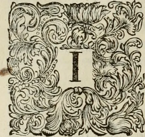 An illustration from Stephanos Peri poleon = Stephanus De urbibus, 1678, leaf 341