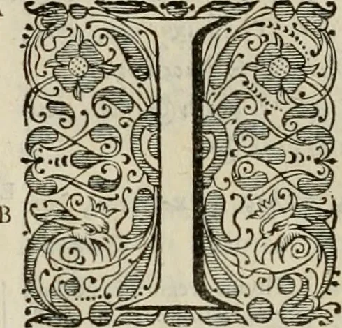 An illustration from Stephanos Peri poleon = Stephanus De urbibus, 1678, leaf 341