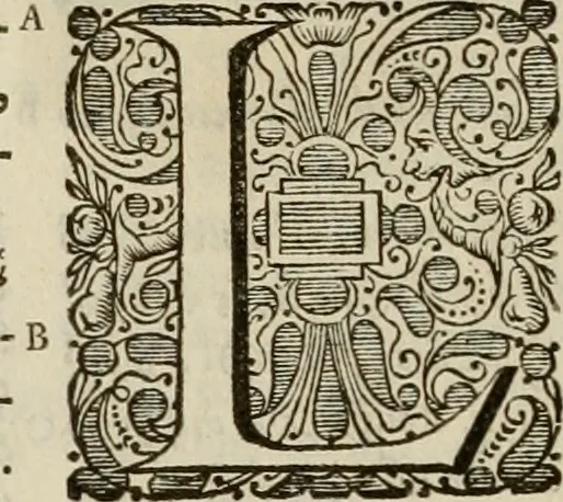 An illustration from Stephanos Peri poleon = Stephanus De urbibus, 1678, leaf 435