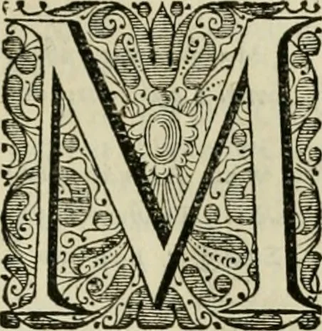 An illustration from Stephanos Peri poleon = Stephanus De urbibus, 1678, leaf 458