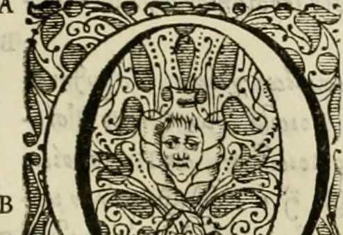 An illustration from Stephanos Peri poleon = Stephanus De urbibus, 1678, leaf 530