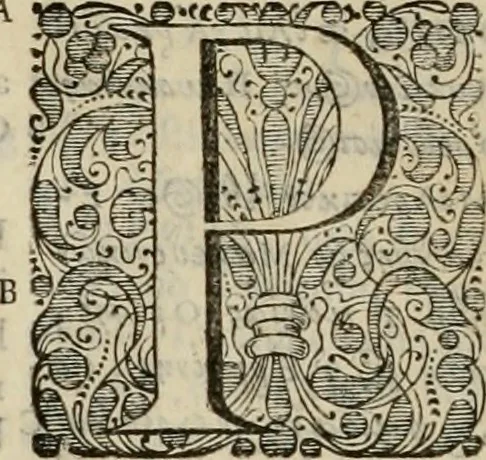 An illustration from Stephanos Peri poleon = Stephanus De urbibus, 1678, leaf 545